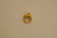 Guardian Ring