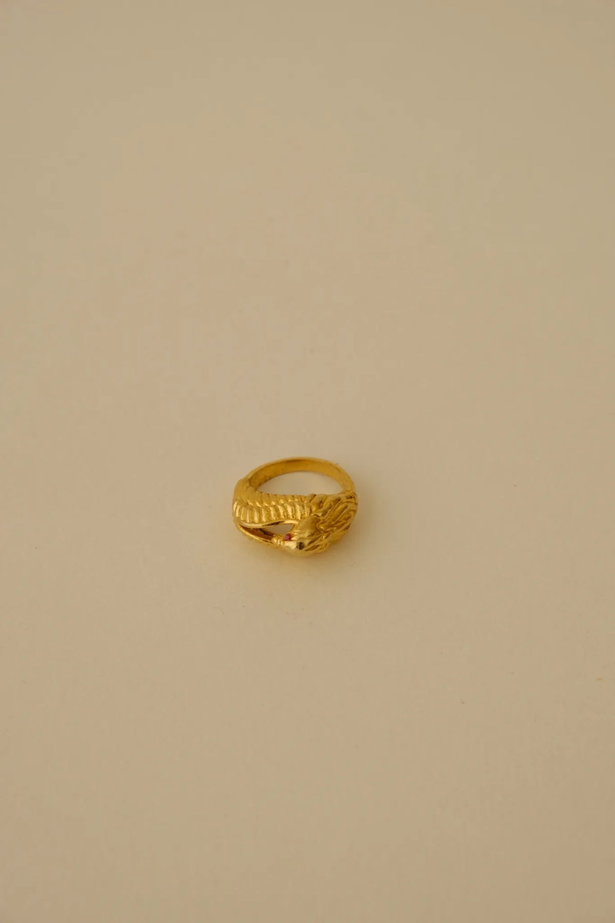Guardian Ring