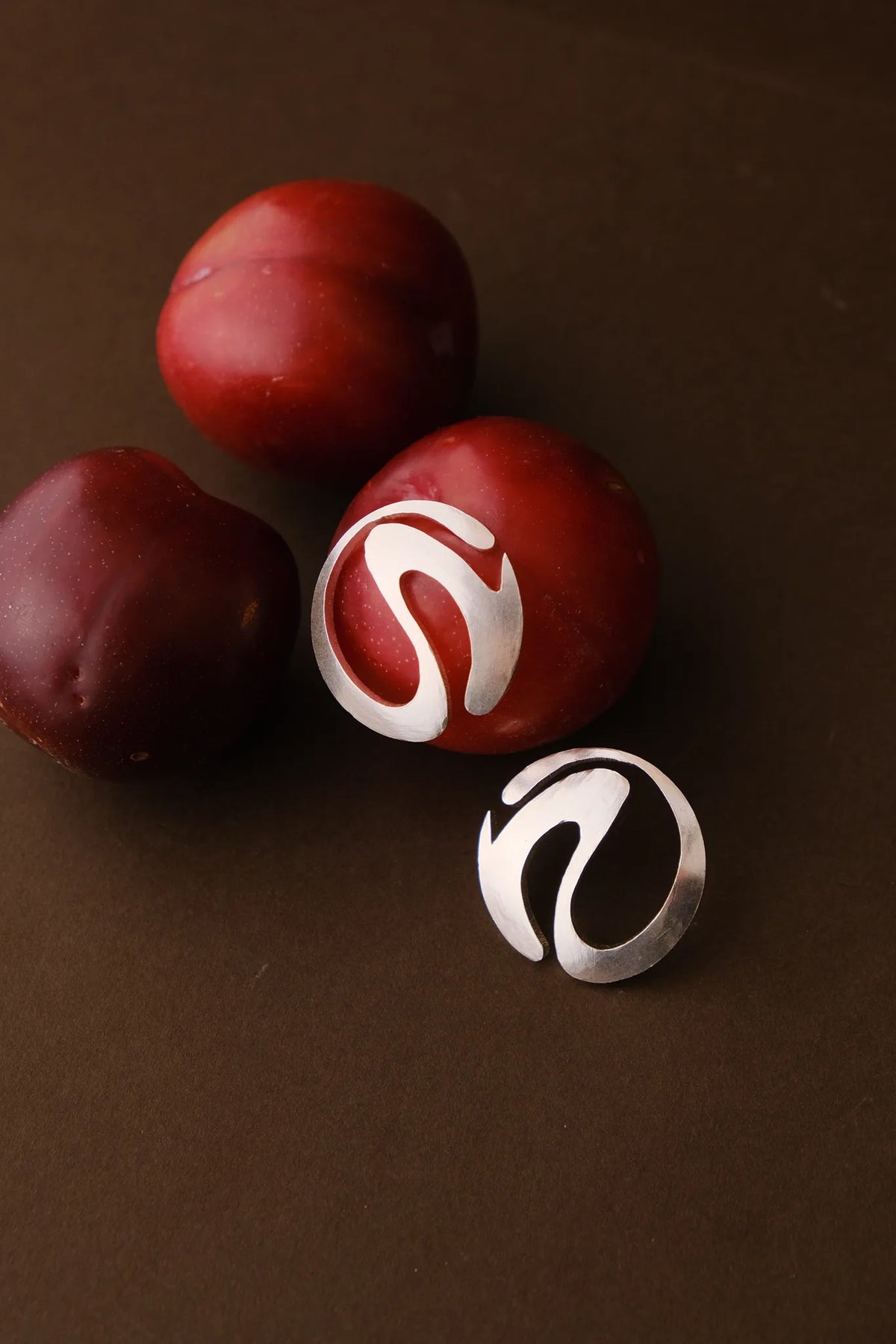 Curvy Disc Earring
