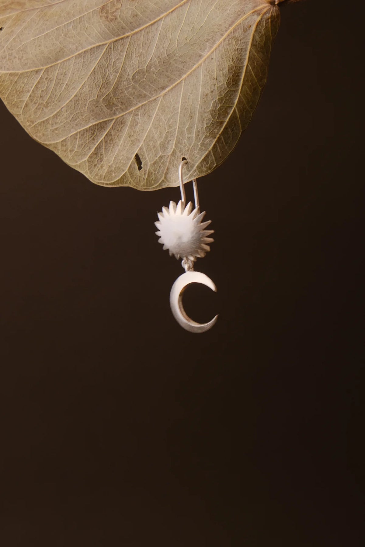 Sun & Moon Hook