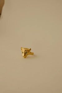 Amba Ring