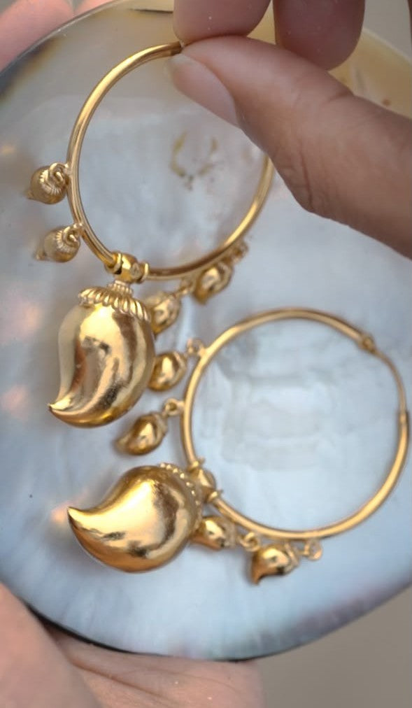 Himsagar Hoops